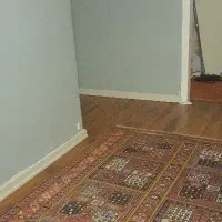 یک خانم  جهت نظافت منزل