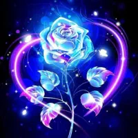 راهنمایی کنید نظافت