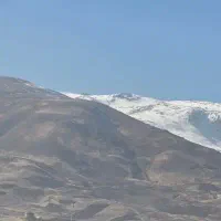 زمین-زراعی-3-هکتار-برای-گوجه