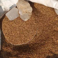 کنجد تازه بوجاری شده