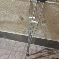 دوعدد اسا و توالدفرنگی سالم