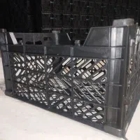 تولیدی سبد میوه(گوجه)