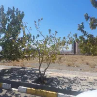 آپارتمان-فروشی-در-شهر-جدید-بینالود
