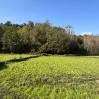 ارزان‌ترین ۱۵۰ متر برِ قابل معامله در شرق گیلان