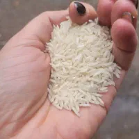 برنج هاشمی درجه یک به شرط پخت|خوردنی و آشامیدنی|لاهیجان, لیالستان|دیوار