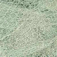 ضایعات طور نخی