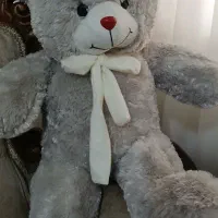 خرس یک متری|اسباب‌‌بازی|ساری, |دیوار