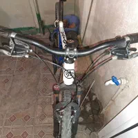 دوچرخه ویوا|دوچرخه، اسکیت، اسکوتر|تبریز, |دیوار