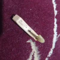 سمعک|آرایشی، بهداشتی، درمانی|گلبهار, شهر جدید گلبهار|دیوار