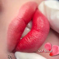 نیاز به یک مدل برای شیدینگ لب و خط چشم مینیاتوری|خدمات آرایشگری و زیبایی|مشهد, فرهنگ|دیوار