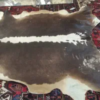 لوازم آتلیه عکاسی فرش پرده میز سالم واقعا در حدنو|دوربین عکاسی و فیلم‌برداری|تبریز, |دیوار