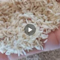 برنج هاشمی درجه یک با عطر بهشتی و پخت بی نظیر|خوردنی و آشامیدنی|کرج, اسلام‌آباد|دیوار