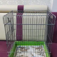 قفس پرنده(قفس مینا)