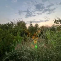 فروش باغشهری صدرا(تنگ جلاب)|فروش خانه و ویلا|شیراز, شهرک ویلایی بهاران|دیوار