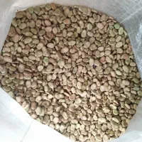 باقله باقالی باقلا|خوردنی و آشامیدنی|ششده و قره بلاغ, |دیوار