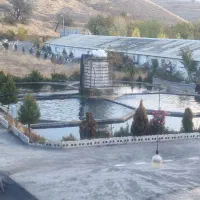 نیرو جهت کار در مجموعه فارل