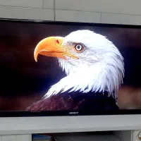 تلویزیون ال ای دی 32 اینچ در حد اکبند|تلویزیون و پروژکتور|ری, شهادت|دیوار