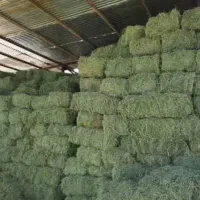 یونجه فروشی