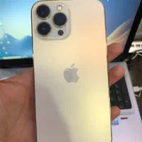 13 pro max