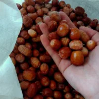 سنجد باکیفیت و خوش‌طعم، فروش کیلویی و عمده
