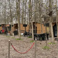 ویلاهایی در قلب پروژه ی گردشگری|فروش خانه و ویلا|گلبهار, شهر جدید گلبهار|دیوار