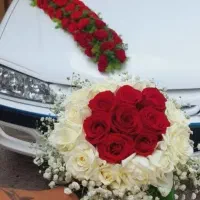 تزیین با گل رز طبیعی(کمترین قیمت رز در قصر گل)|گل و گیاه طبیعی|کرمان, |دیوار