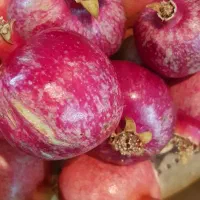 انار درجه یک رباب قصردشتی دانه قرمز میخوش|خوردنی و آشامیدنی|شیراز, میرزاکوچک خان|دیوار