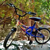 دوچرخه 16 و 20|دوچرخه، اسکیت، اسکوتر|گناباد, |دیوار