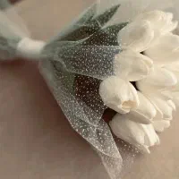 گل عروس|گل مصنوعی|شیراز, میانرود|دیوار