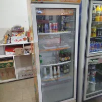 فریزرایستاده برای مغازه یاپروتئینی19000000