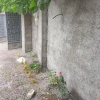 سیمانکاری|خدمات پیشه و مهارت|لاهیجان, طالقانی|دیوار