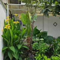 اجاره ویلا دوبلکس نزدیک ترمینال|اجارهٔ کوتاهمدت ویلا و باغ|رشت, آب آسیاب|دیوار