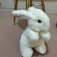 عروسک سالم ده عدد|اسباب‌‌بازی|کرمانشاه, |دیوار