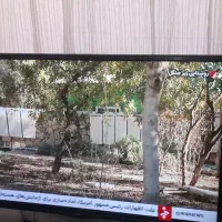 تلویزیون ال ای دی ۴۲ الجی سه بعدی|تلویزیون و پروژکتور|مشکیندشت, |دیوار