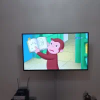 تلوزیون ۴۹ اینچ سینگل