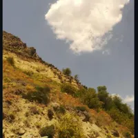 اسکان رایگان(اردبیل)
