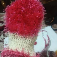 لیف و اسکاج