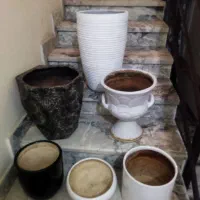 گل و گلدان سفالی|گل و گیاه طبیعی|مشهد, مشکینی (شهرک غرب)|دیوار