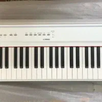 پیانو پرتابل p225 white