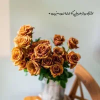 چلتوک وگندم