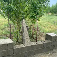 زمین شهرکی|فروش زمین و ملک کلنگی|تهران, شهرک ولیعصر جنوبی|دیوار