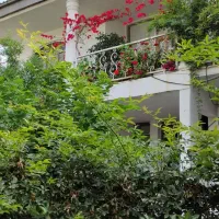 اجاره خانه ویلایی