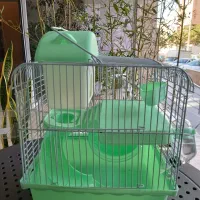 قفس همستر وارداتی با هدیه|لوازم جانبی حیوانات|قزوین, |دیوار