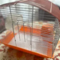 جای قفس پرنده با وسایل