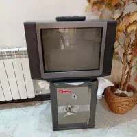 تی وی