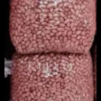بادام زمینی شمال|خوردنی و آشامیدنی|اسلام‌شهر, شهرک قائمیه|دیوار