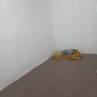 همخونه