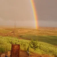 فروش زمین کشاورزی|فروش دفتر صنعتی، کشاورزی، تجاری|تهران, گمرک|دیوار