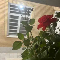 سویئت با تمام امکانات نزدیک به باغ فین