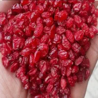 خ ر ی د ا ر زرشک